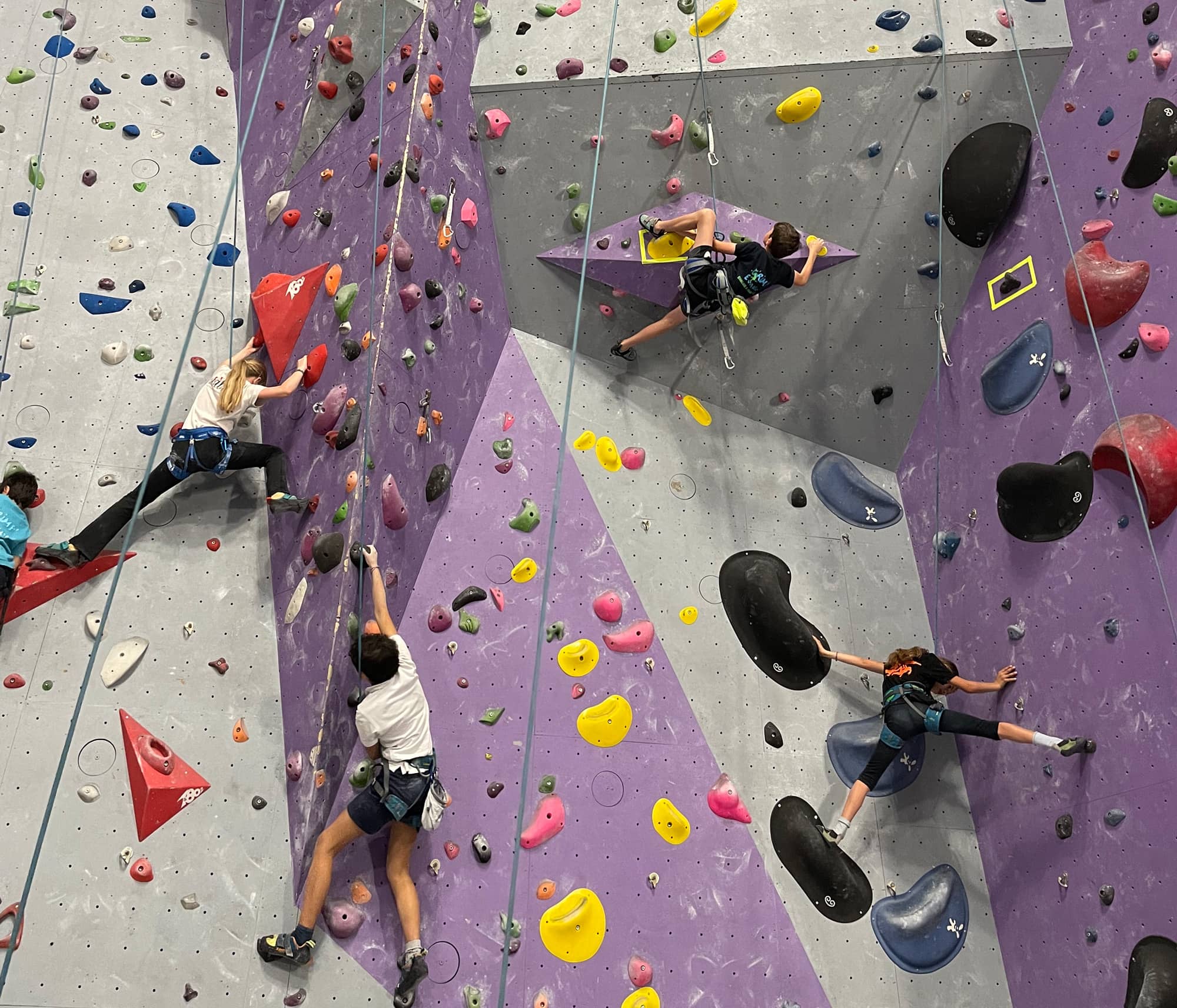 Les jeunes grimpeurs de Thau Escalade Loupian en action dans la salle Altissimo de Grabels