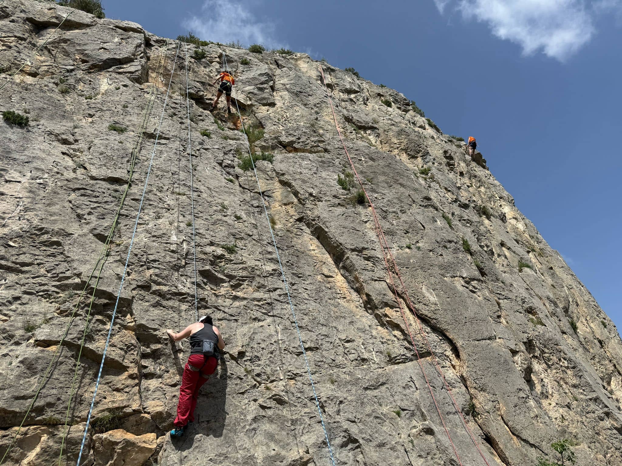Club d'escalade Thau Escalade Loupian - Sortie en falaise à Saint-Bauzille-de-Montmel
